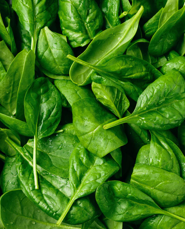 A detail photo of spinach. Before + After Vitals are the world's first fast healing supplements, including major minerals and trace minerals proven essential to metabolic function.