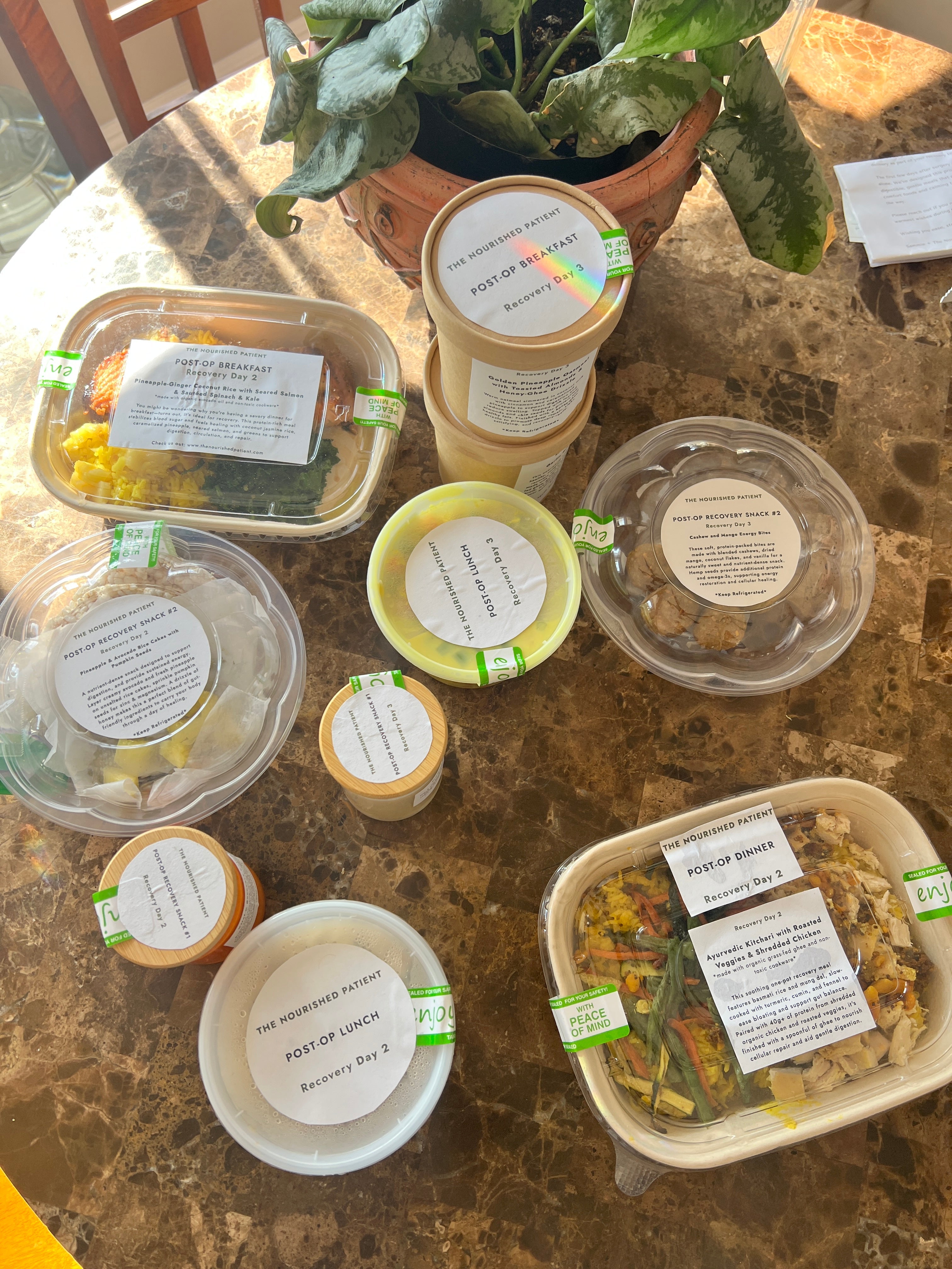 A marble table holds labeled plastic containers from the 7-Day Facelift Recovery Meal Program, including salads, soups, and sides to help reduce swelling. Some are marked “Recovery Day 3,” arranged around a potted plant in sunlight.